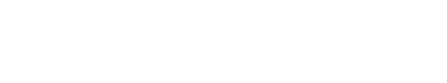 Google Ads Guy